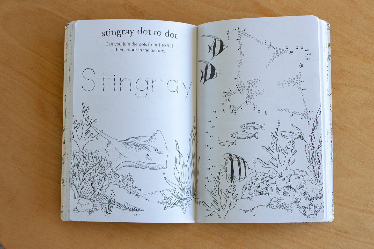 My First Wild Activity Book